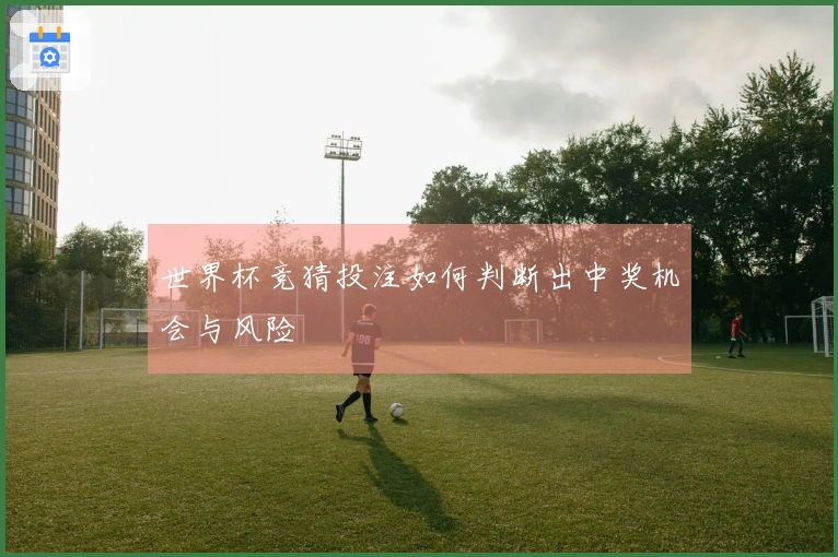 世界杯竞猜投注如何判断出中奖机会与风险