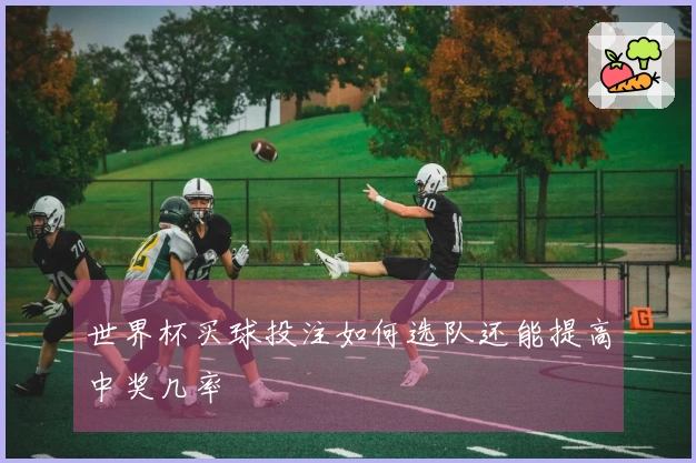 世界杯买球投注如何选队还能提高中奖几率
