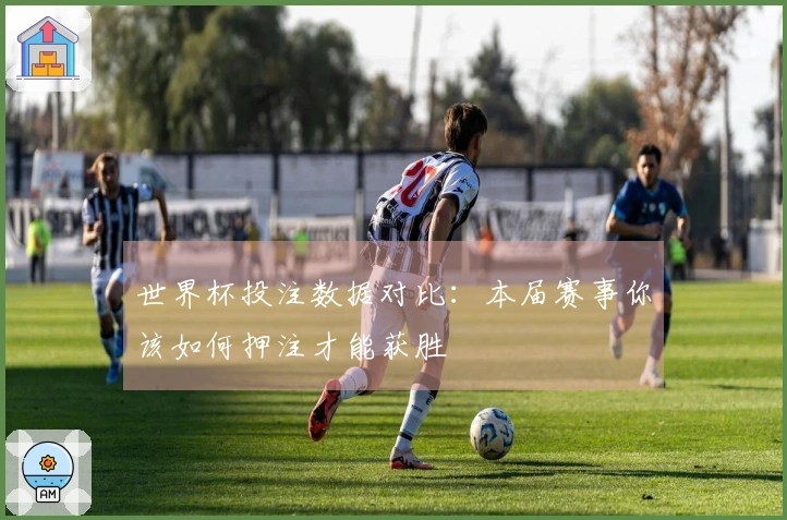 世界杯投注数据对比：本届赛事你该如何押注才能获胜