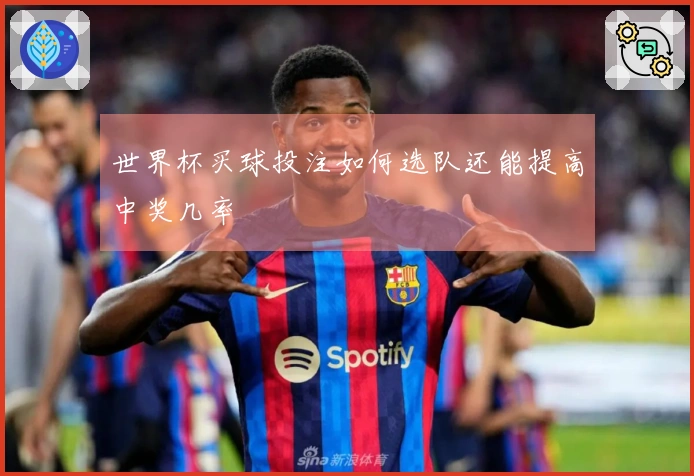 世界杯买球投注如何选队还能提高中奖几率