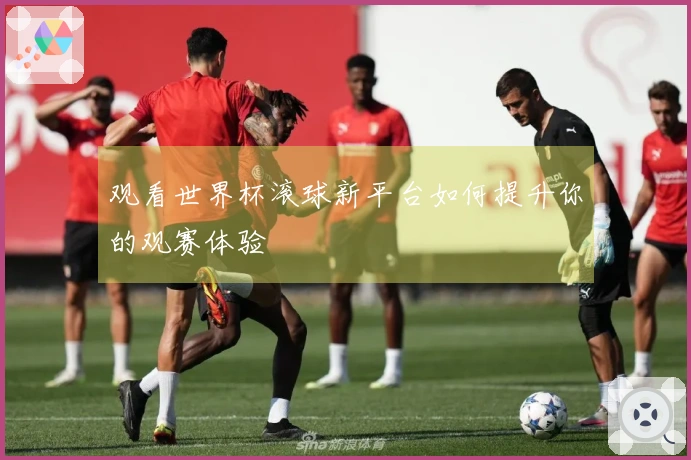 观看世界杯滚球新平台如何提升你的观赛体验