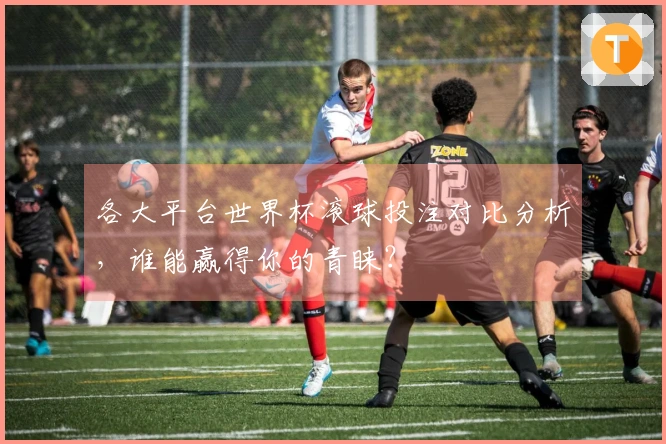 各大平台世界杯滚球投注对比分析，谁能赢得你的青睐？